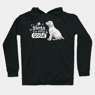 Santa I've Been Good, Christmas White Boxer Puppy Hoodie